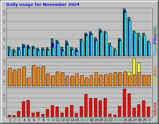 Daily usage for November 2024