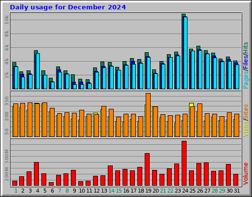 Daily usage for December 2024