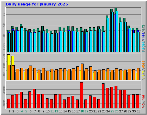 Daily usage for January 2025