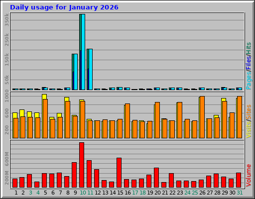 Daily usage for January 2026