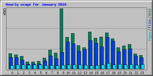 Hourly usage for January 2016