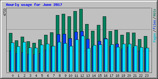 Hourly usage for June 2017