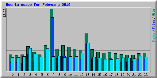 Hourly usage for February 2019