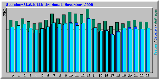 Stunden-Statistik im Monat November 2020