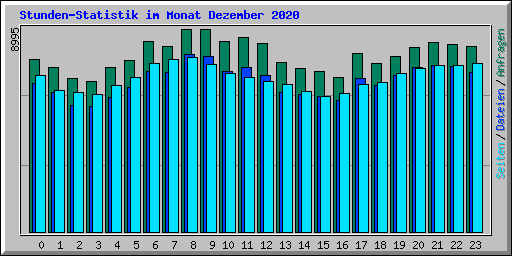 Stunden-Statistik im Monat Dezember 2020