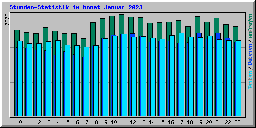 Stunden-Statistik im Monat Januar 2023
