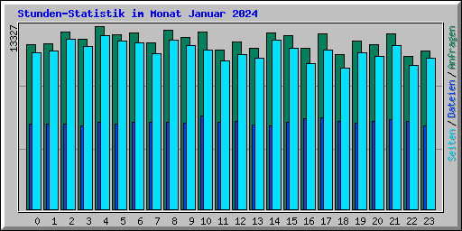 Stunden-Statistik im Monat Januar 2024