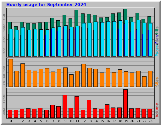 Hourly usage for September 2024
