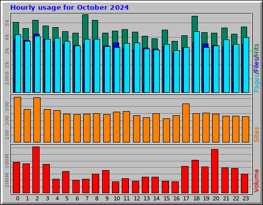 Hourly usage for October 2024