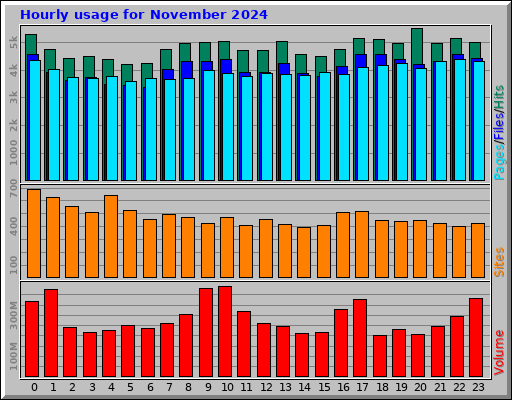 Hourly usage for November 2024