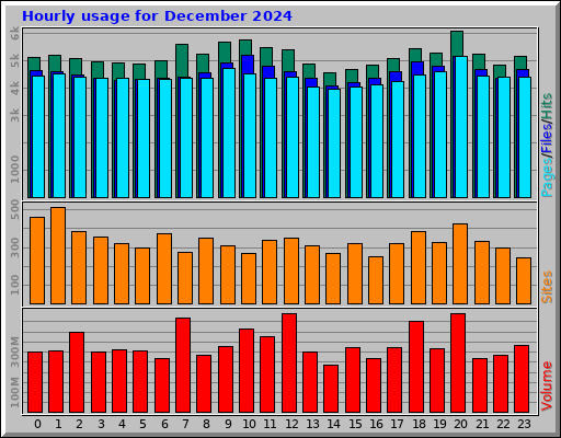 Hourly usage for December 2024
