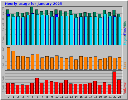 Hourly usage for January 2025
