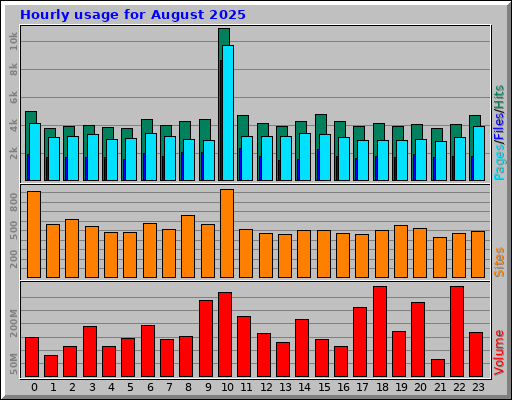 Hourly usage for August 2025