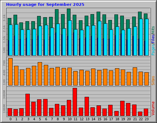 Hourly usage for September 2025