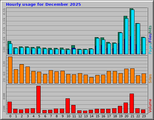 Hourly usage for December 2025